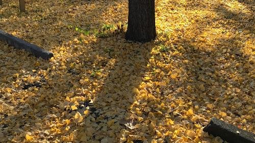 IMG_1294 (2).jpg