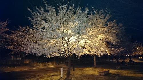 DSC_1042.jpg