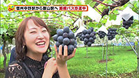 190904_toku.jpg