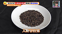 190905_toku.jpg