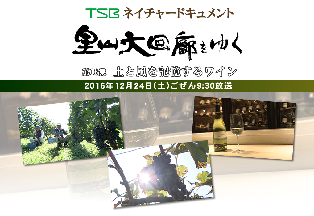 TSBネイチャードキュメント 里山大回廊をゆく 第16集「土と風を記憶するワイン」 2016年12月24日(土)ごぜん9:30放送 TSBネイチャードキュメント 里山大回廊をゆく 第16集「土と風を記憶するワイン」 2016年12月24日(土)ごぜん9:30放送