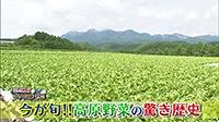 210628_toku.jpg