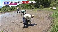 210629_toku.jpg