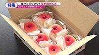 210708_toku.jpg