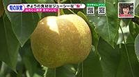 210831_toku.jpg
