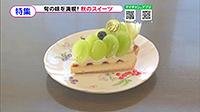 211001_toku.jpg