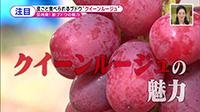 211021_toku.jpg