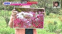 211025_toku.jpg