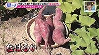 211026_toku.jpg