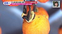 211129_toku.jpg