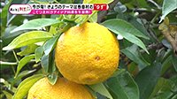 211207_toku.jpg