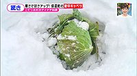 220208_toku.jpg