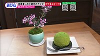 220401_toku.jpg