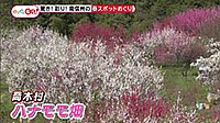 220426_toku.jpg