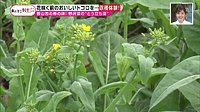 220502_toku.jpg