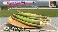 220516_toku.jpg