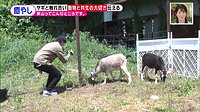 220602_toku.jpg