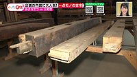 220603_toku.jpg