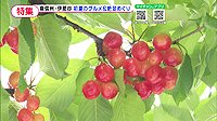 220624_toku.jpg