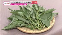 220711_toku.jpg