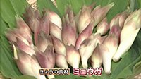 220725_toku.jpg