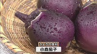 220808_toku.jpg