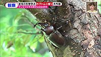 220810_toku.jpg