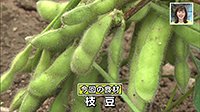 220822_toku.jpg