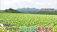 220901_toku.jpg