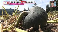 220926_toku.jpg
