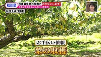 220930_toku.jpg