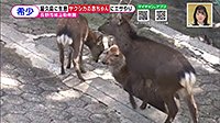 221028_toku.jpg