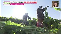 221130_toku.jpg