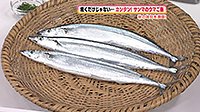 250909_toku.jpg