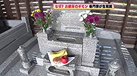250912_toku.jpg
