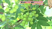260622_toku.jpg