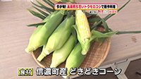 260810_toku.jpg
