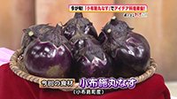 260831_toku.jpg