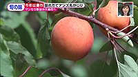 220705_toku.jpg