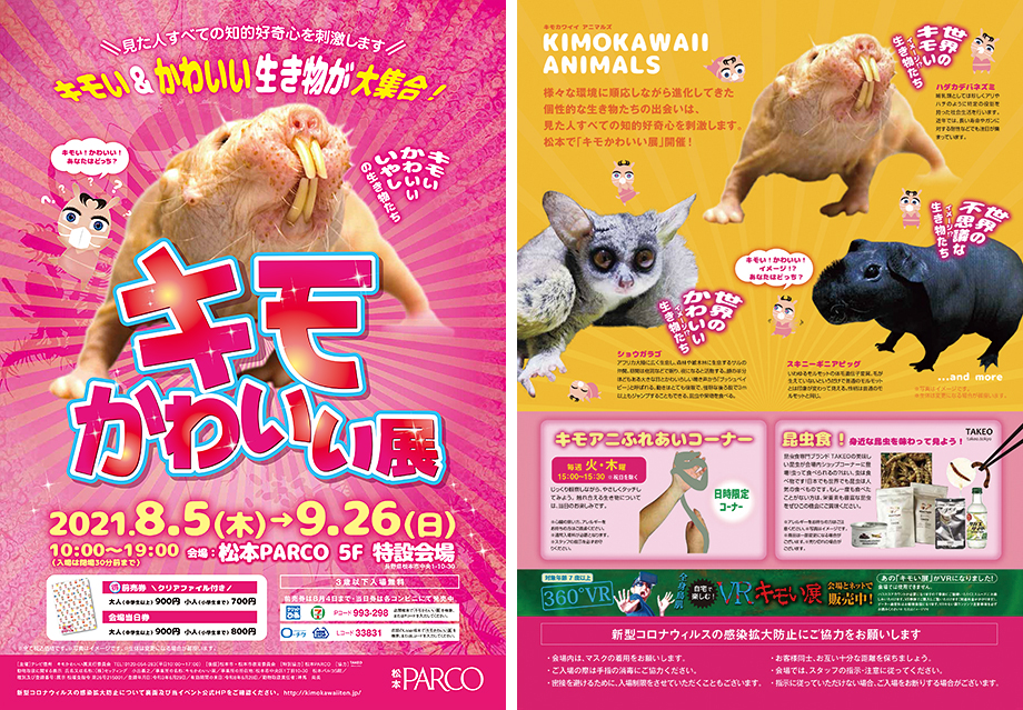 キモかわいい展in松本 Tsb マイチャン テレビ信州 イベント情報