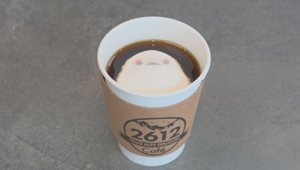 ois-260726-03.jpg
