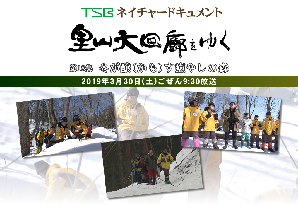 TSBネイチャードキュメント 里山大回廊をゆく 第18集「冬が醸(かも)す癒やしの森」 2019年3月30日(土)ごぜん9:30放送