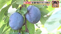 260907_toku.jpg